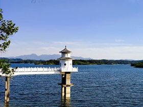 灭蚊灯高压电路四代迭代详解:从倍压板到专利电感式高压包,看懂行业技术真实演进